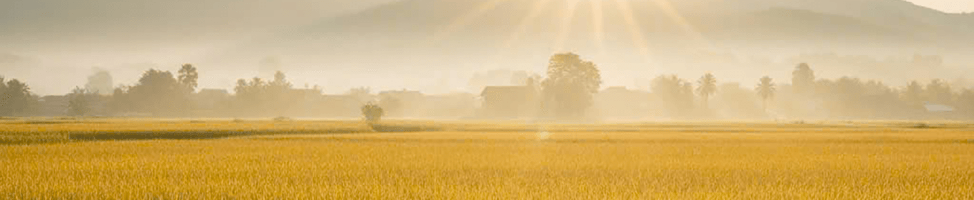 CÔNG TY CỔ PHẦN HASA BIO FOODS