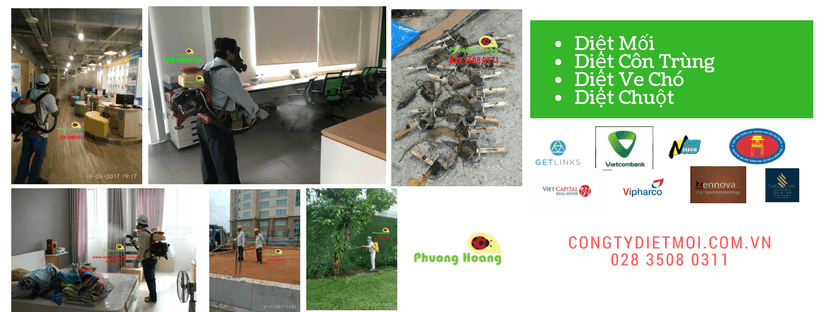 Công ty TNHH Trừ Mối và Côn Trùng Phượng Hoàng