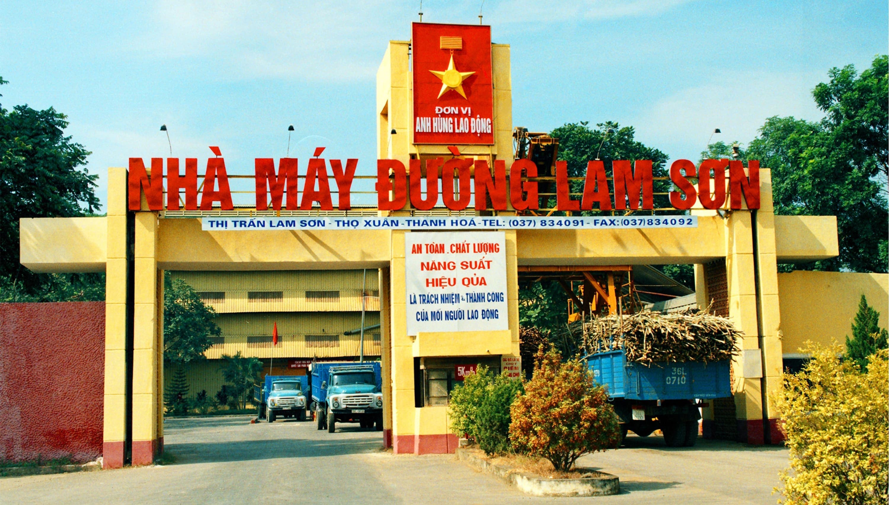 Công ty TNHH thuơng mại & XNK Lam Sơn