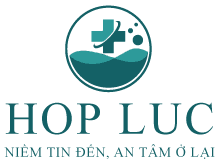 CÔNG TY TNHH PHÁT TRIỂN THƯƠNG MẠI HỢP LỰC