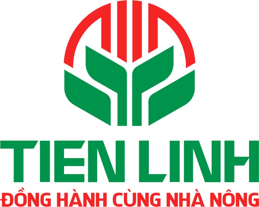 CÔNG TY TNHH THƯƠNG MẠI DỊCH VỤ VÀ XUẤT NHẬP KHẨU TIẾN LINH