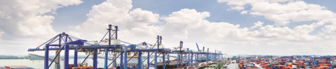 CÔNG TY CỔ PHẦN QUỐC TẾ TICO