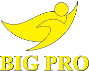 CÔNG TY TNHH DỊCH VỤ THƯƠNG MẠI GIẢI PHÁP CÔNG NGHỆ TRUYỀN THÔNG BIG PRO