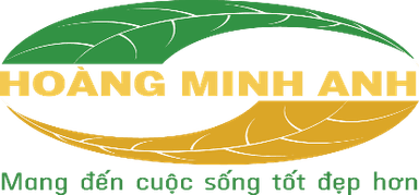 CÔNG TY TNHH TMDV VÀ GIẢI PHÁP HOÀNG MINH ANH