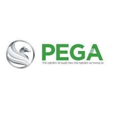 CÔNG TY CỔ PHẦN XE ĐIỆN PEGA LTT 