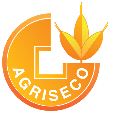 Công ty Cổ phần Chứng khoán Agribank - Chi nhánh Miền Nam
