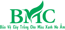 Công Ty Cổ Phần BMC Việt Nam