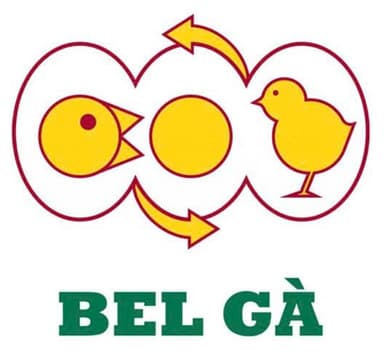 BEL GÀ VIỆT NAM