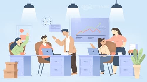 Thực tập và việc làm
