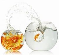 Tại sao bạn không nên ở một vị trí lâu hơn 4 năm