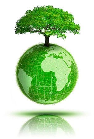 Sống xanh trong quá trình tìm việc