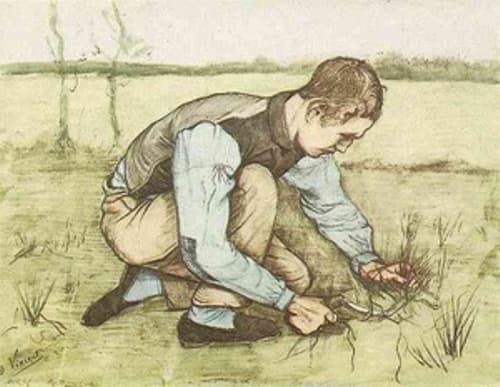 Câu chuyện về cậu bé cắt cỏ