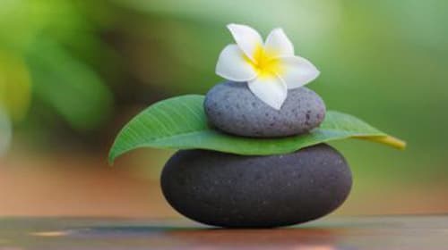 Tôi đang vác một “túi khoai oán giận”