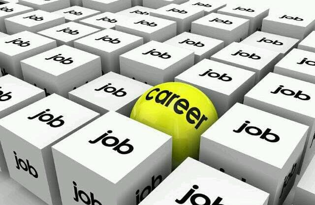 Công việc hay sự nghiệp sẽ phù hợp với bạn?
