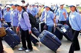Chọn nghề - việc làm