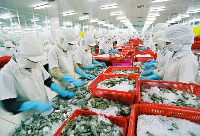 Muốn nghỉ hưu sớm vì kiệt sức