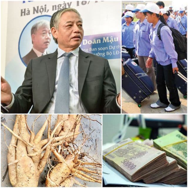 Tăng tuổi hưu, việc làm người trẻ và 1 triệu lao động thất nghiệp