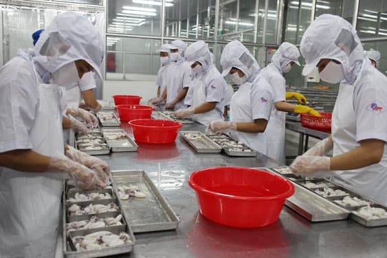 Cải thiện môi trường làm việc cho công nhân