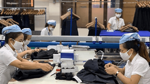 Đối chiếu hồ sơ BHXH của người lao động để tránh trục lợi chính sách