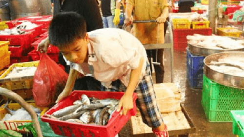 Doanh nghiệp cần biết về những quy định đối với lao động chưa thành niên