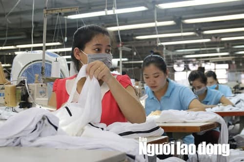 Đề xuất giảm 50% mức hưởng nếu rút bảo hiểm xã hội một lần: Giữ 50% còn lại để làm gì?