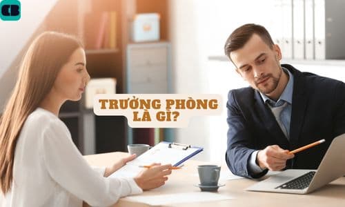 Trưởng phòng là gì? Công việc chi tiết của vị trí trưởng phòng