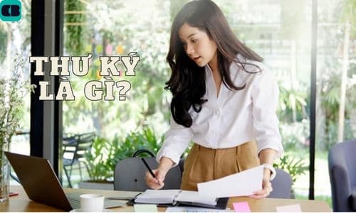 Thư ký là gì? Điều kiện và kỹ năng để ứng tuyển thư ký mới nhất 2023