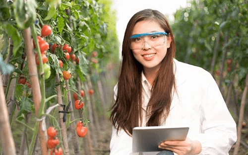 Kỹ sư nông nghiệp là ai? Hiểu đúng về nghề kỹ sư nông nghiệp
