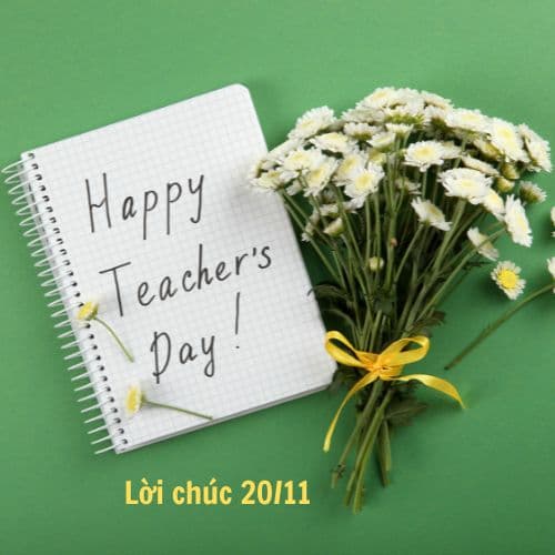 20+ Lời chúc thầy cô hay, ngắn gọn, sâu sắc và ý nghĩa nhất 20/11
