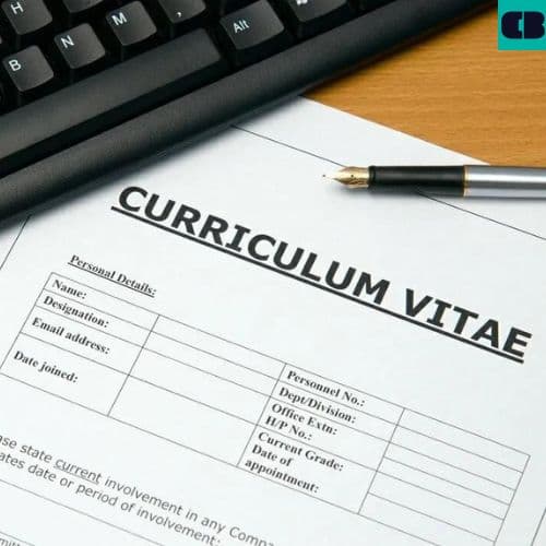 Mẫu Sơ Yếu Lý Lịch Xin Việc Chuẩn Và Hướng Dẫn Cách Viết Chi Tiết 2026