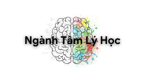 Ngành tâm lý học là gì? Tìm hiểu công việc của ngành tâm lý học ở Việt Nam