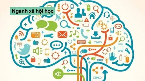 Ngành xã hội học là gì? Ngành xã hội học có tương lai không?