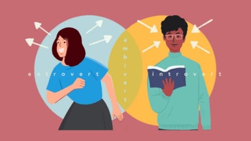Ambivert là gì? Công việc nào phù hợp cho nhóm Ambivert