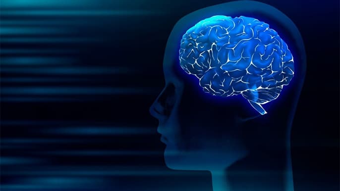 Ngành tâm lý học tội phạm là gì? Cơ hội nghề nghiệp rộng mở