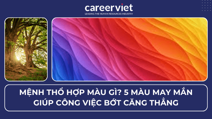 Mệnh Thổ hợp màu gì? 5 màu may mắn giúp công việc bớt căng thẳng