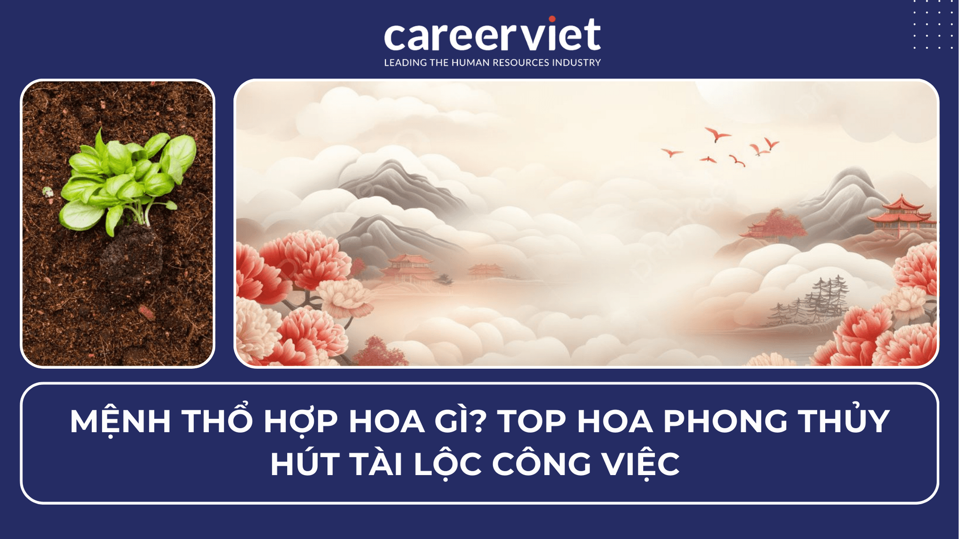 Mệnh Thổ hợp hoa gì? Top hoa phong thủy hút tài lộc công việc