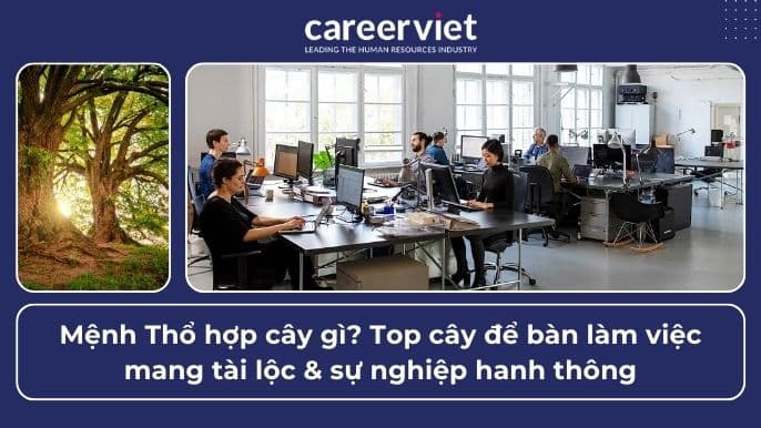 Mệnh Thổ hợp cây gì? Top cây để bàn làm việc mang tài lộc &amp; sự nghiệp hanh thông