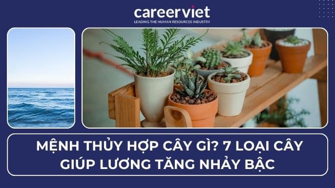 Mệnh Thủy hợp cây gì? 7 loại cây giúp lương tăng nhảy bậc
