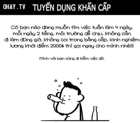 101 truyện hài phỏng vấn