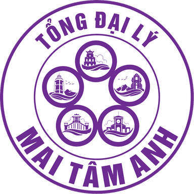 CÔNG TY TNHH ĐẦU TƯ MAI TÂM ANH