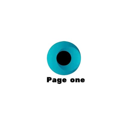 CÔNG TY TNHH PAGE ONE VIỆT NAM