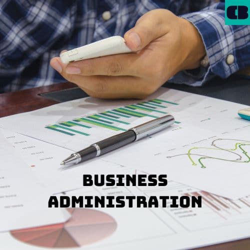 Business administration là gì? Ngành quản trị kinh doanh tại Việt Nam