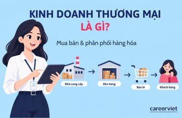 Kinh doanh thương mại là gì? Công việc, Mức lương & Cơ hội thăng tiến